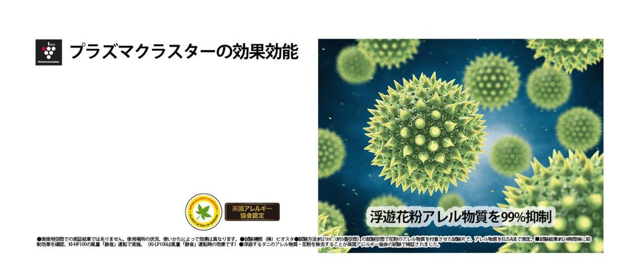 公寓 奥利娜公寓 *